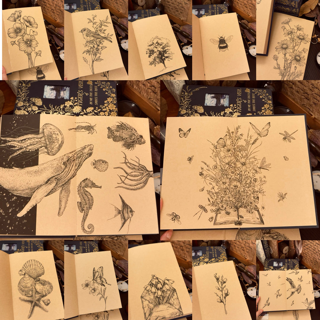 Tigers Veil original illustration notebook with gold foil butterfly details close-up